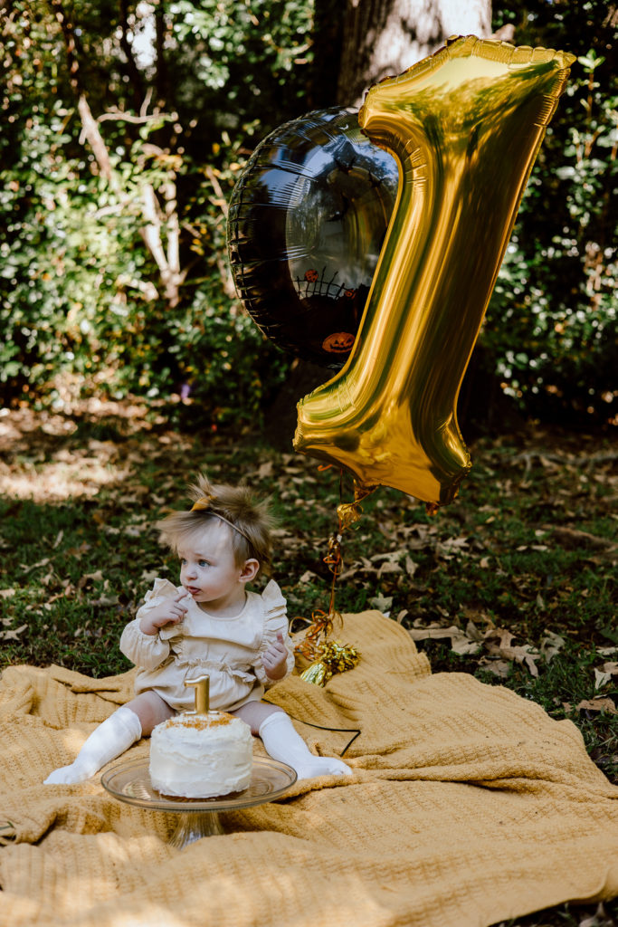 baby milestone cake smash photo session in Powhatan Va