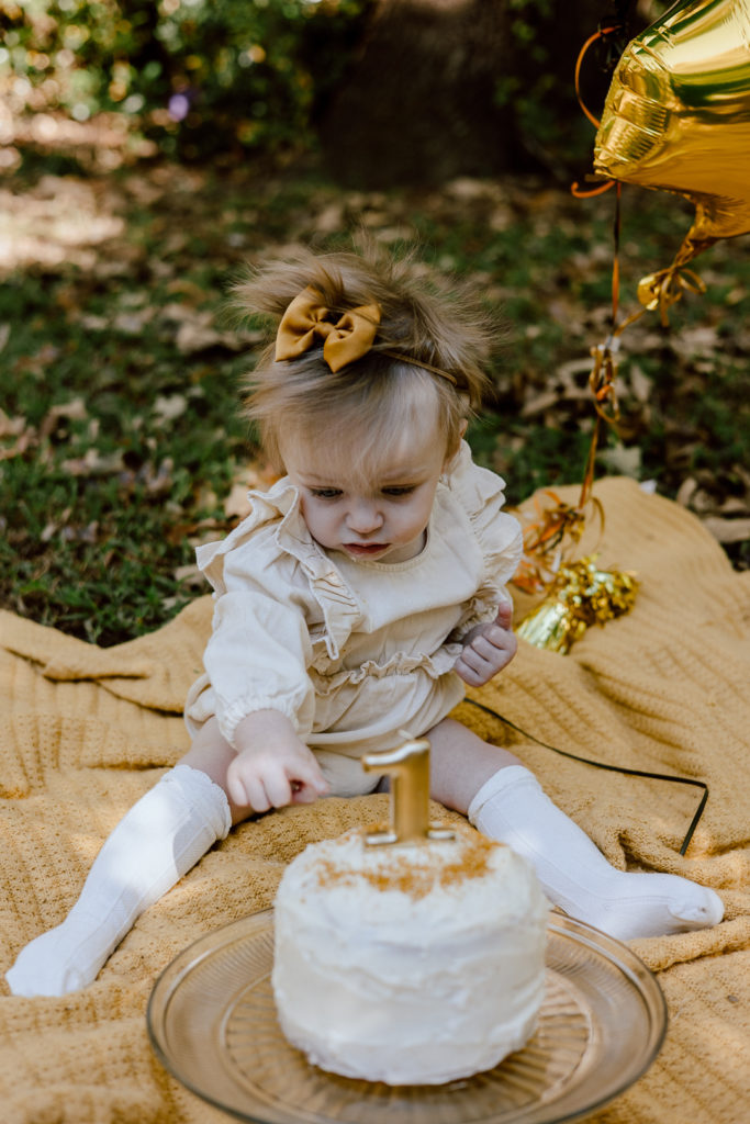 baby milestone cake smash photo session in Powhatan Va