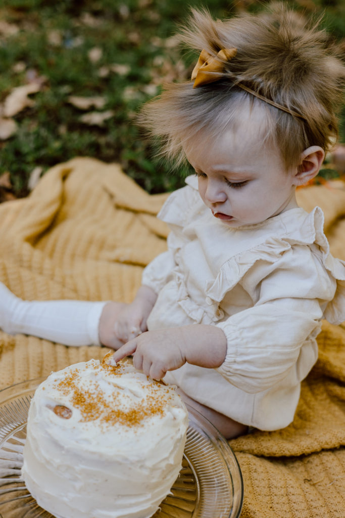 baby milestone cake smash photo session in Powhatan Va