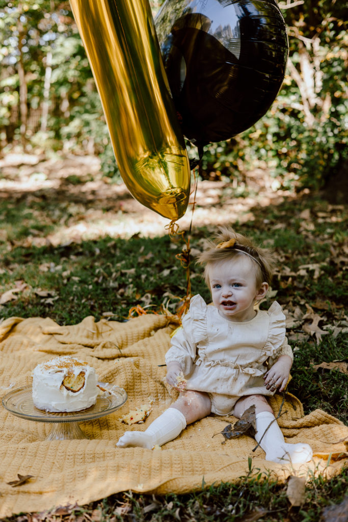 baby milestone cake smash photo session in Powhatan Va