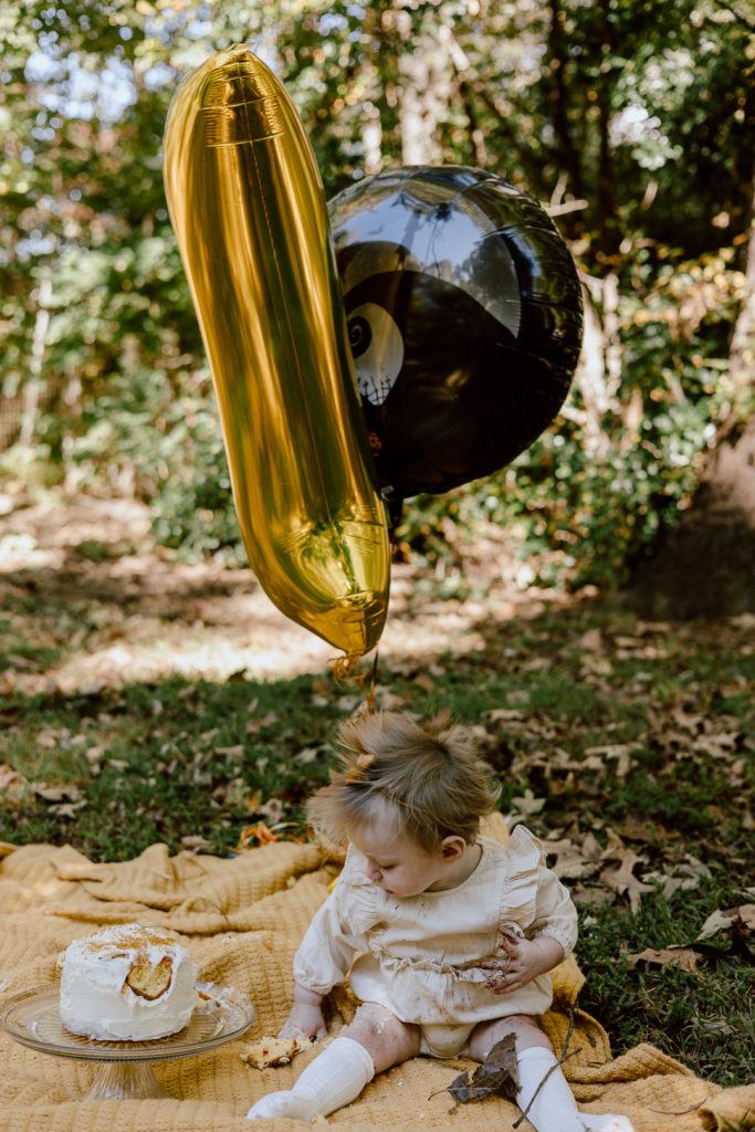 baby milestone cake smash photo session in Powhatan Va