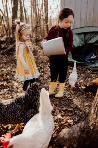 Kids feeding chickens