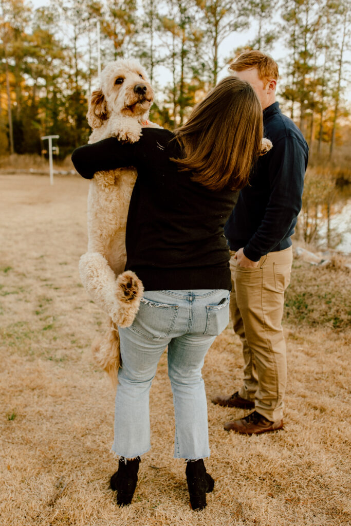 Family Portraits With Dogs