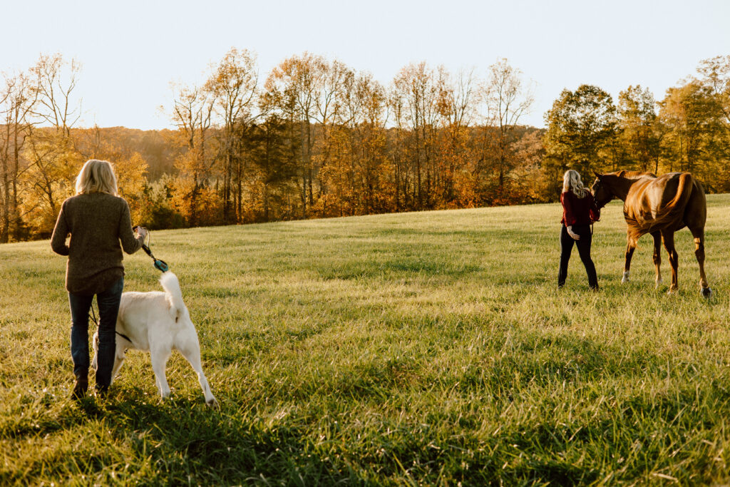 Family Photos With Dogs