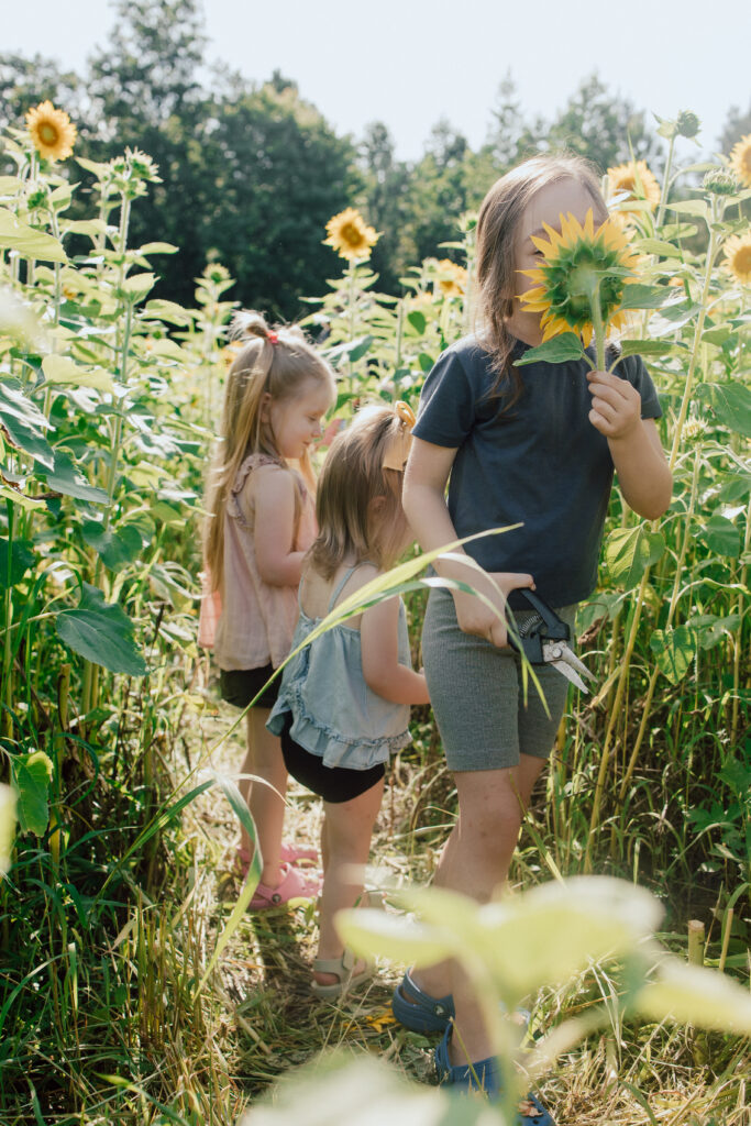 Fresh Branch Farm Photography 