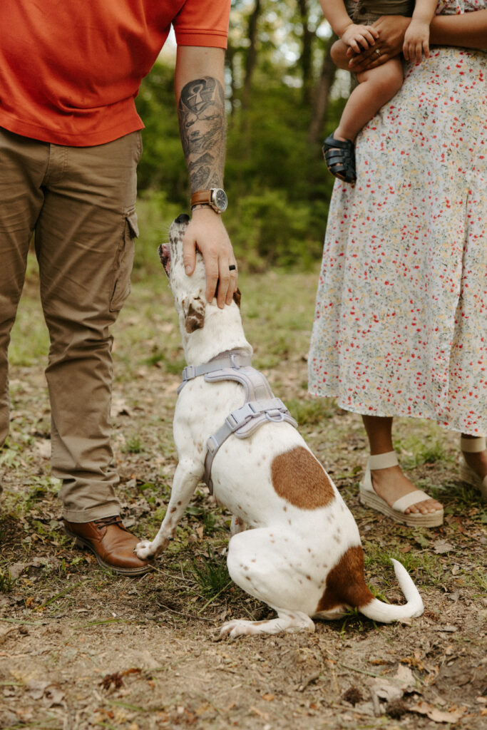 Powhatan Va Family Photographer