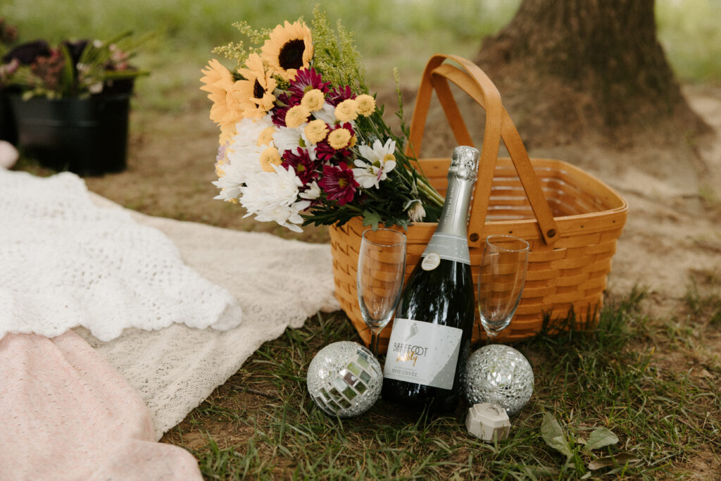 Elopement picnic