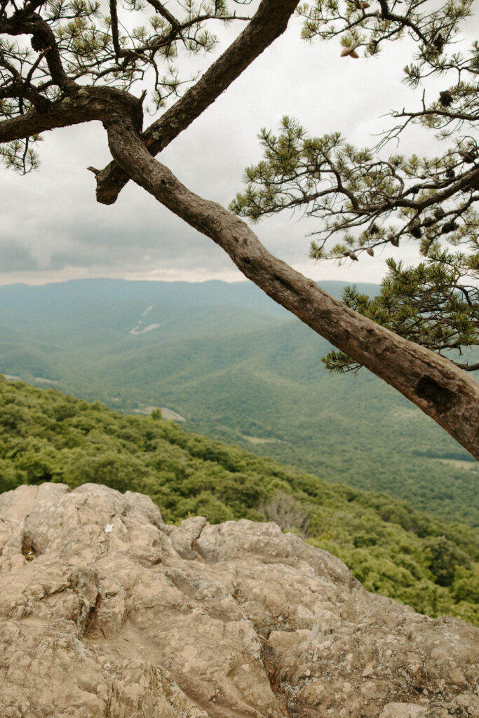 Raven's Roost Elopement