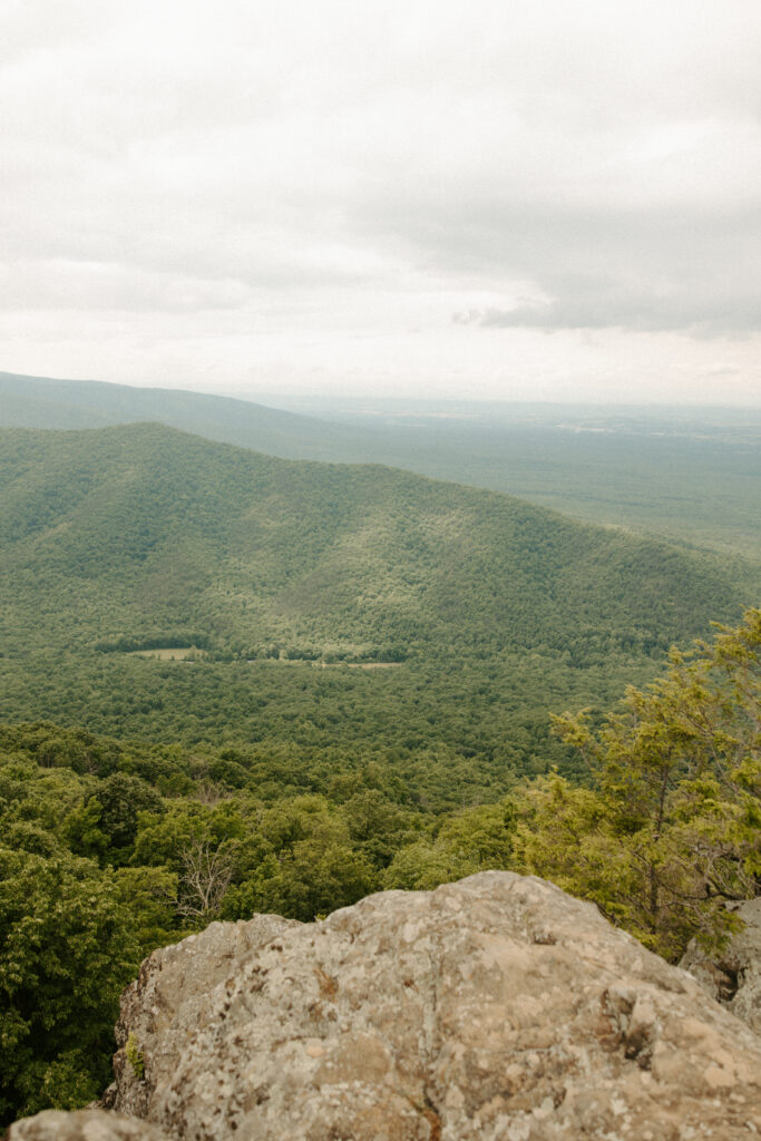 Blue Ridge Parkway Elopement