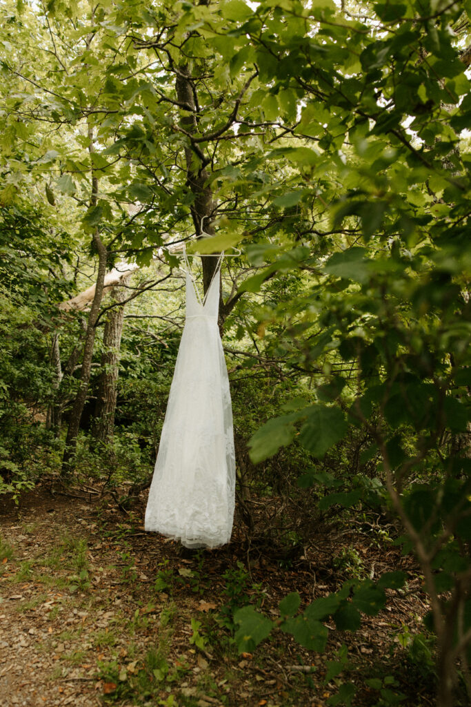 Skyline Drive Elopement