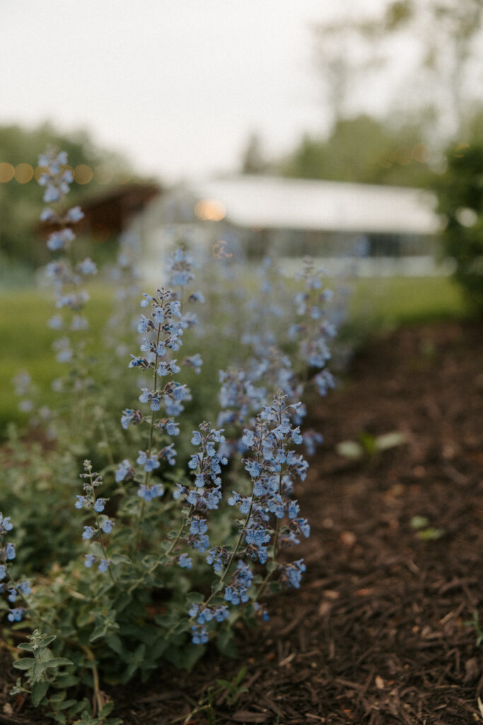 Avonlea Farms Greenhouse Wedding Venue