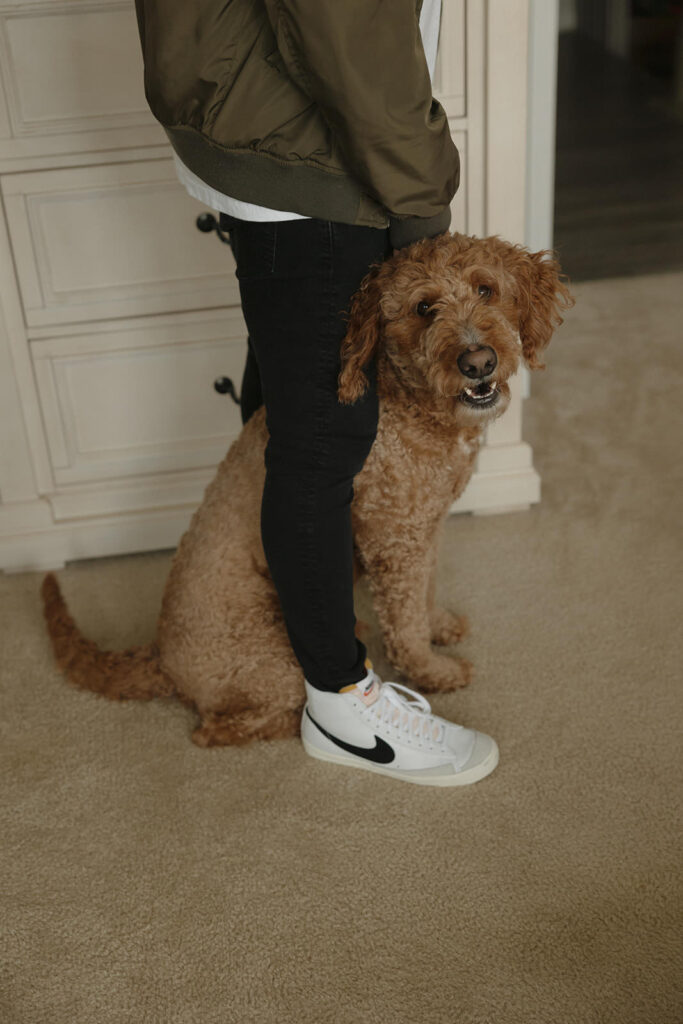 in-home newborn photos with dogs