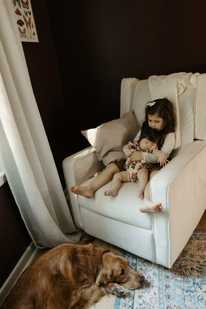 in-home newborn photos with dogs