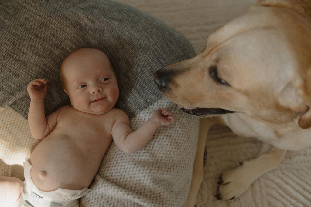 RVA Newborn Photographer