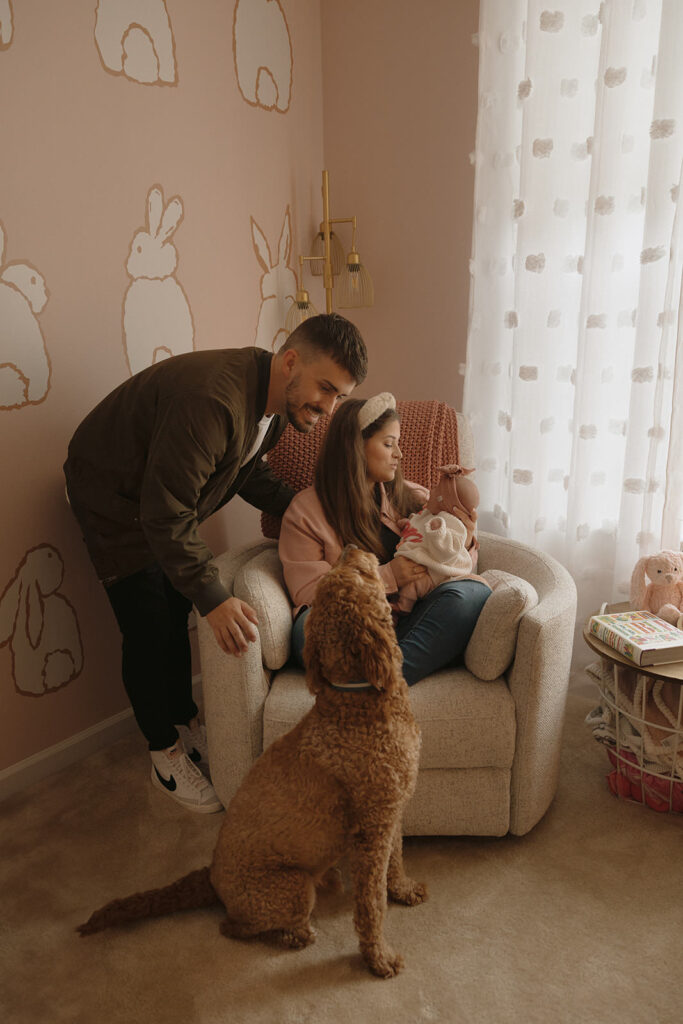 in-home newborn photos with dogs