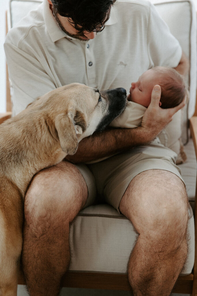 include your dog in your newborn photos