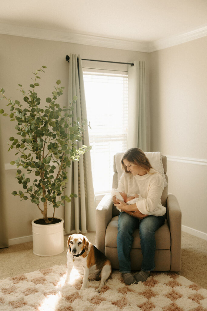 include your dog in your newborn photos