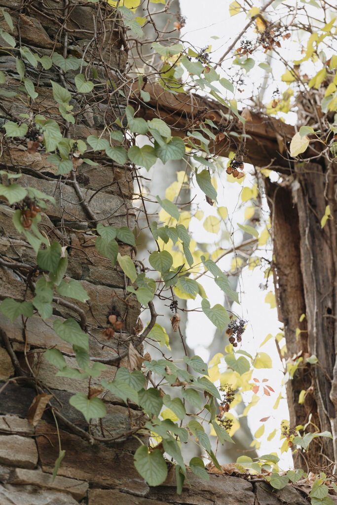 The Mill At Fine Creek Wedding