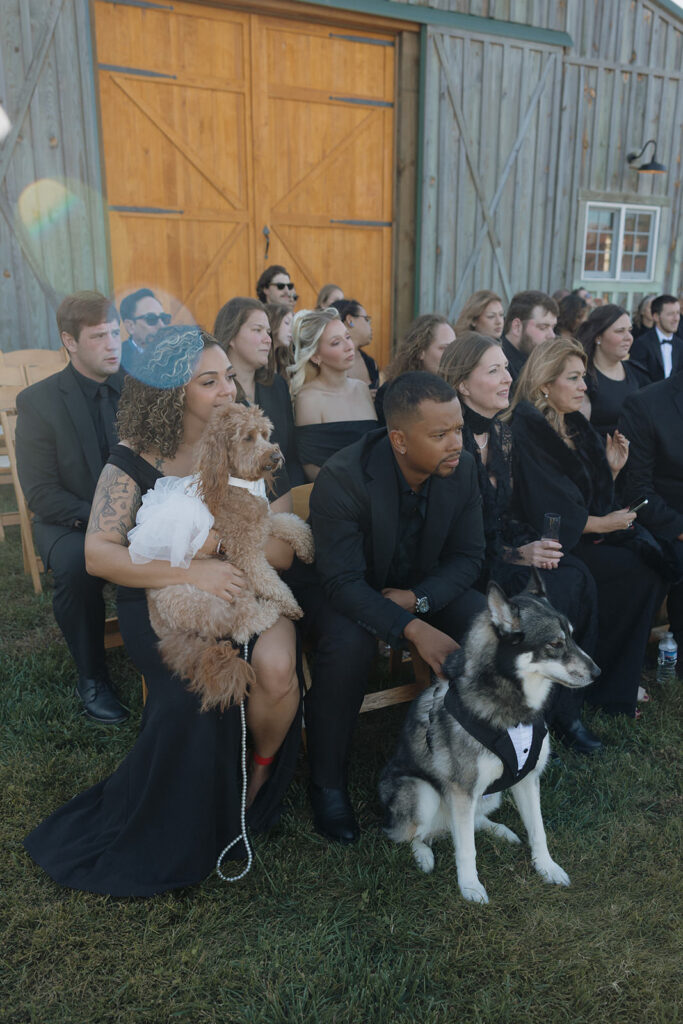The Barns At Mattaponi Springs Wedding
